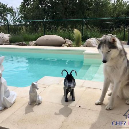 فندق Chouzy-sur-Cisseفي  Chez Bonita المظهر الخارجي الصورة